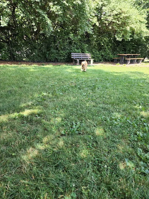 Creager Field Dog Park 10