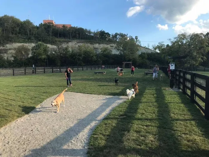 Canal Run Dog Park 2