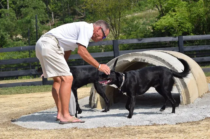 Canal Run Dog Park 1