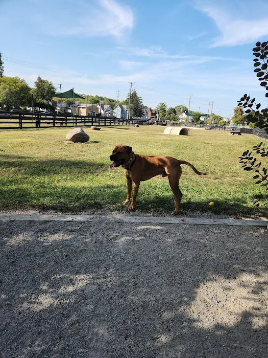 Canal Run Dog Park 8