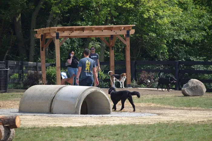 Canal Run Dog Park 10