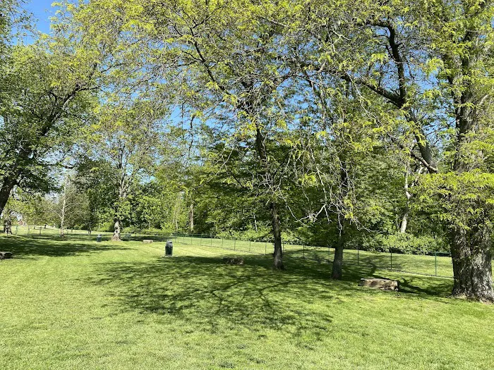 Dog Park 6