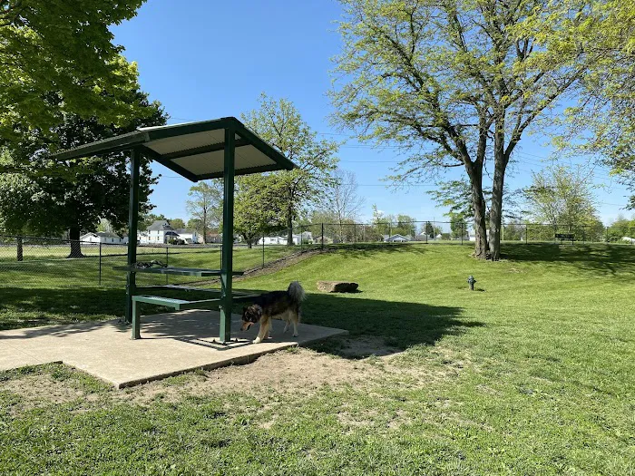 Dog Park 9