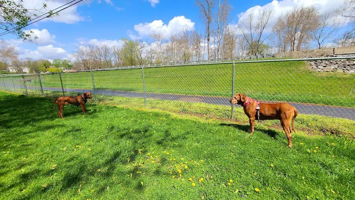 Lewisburg Dog Park by Royal Canin 5