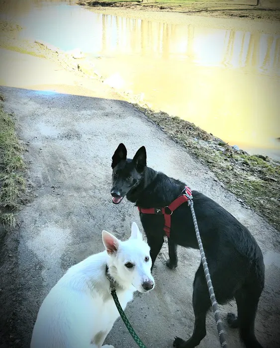 Lewisburg Dog Park by Royal Canin 8