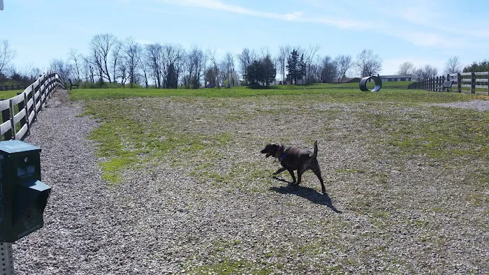 Ida Juris Bennett Dog Park 2