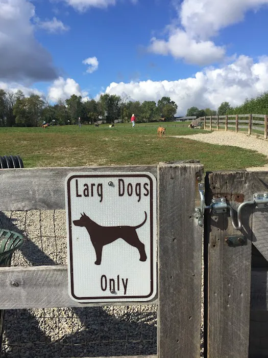 Ida Juris Bennett Dog Park 1