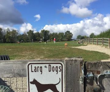 Ida Juris Bennett Dog Park
