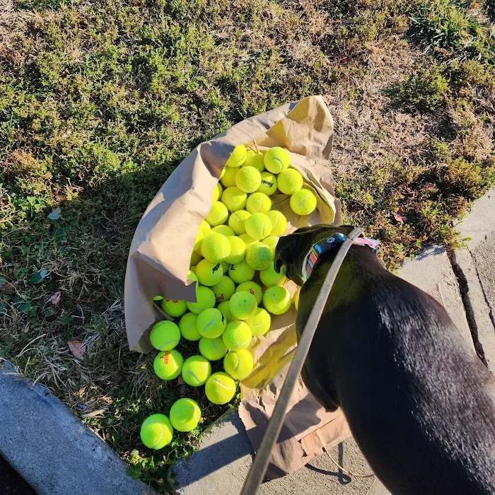 Ida Juris Bennett Dog Park 7