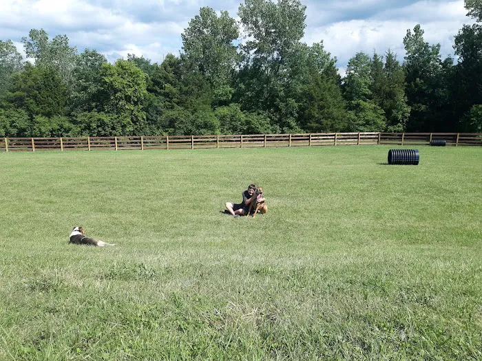 Ida Juris Bennett Dog Park 6
