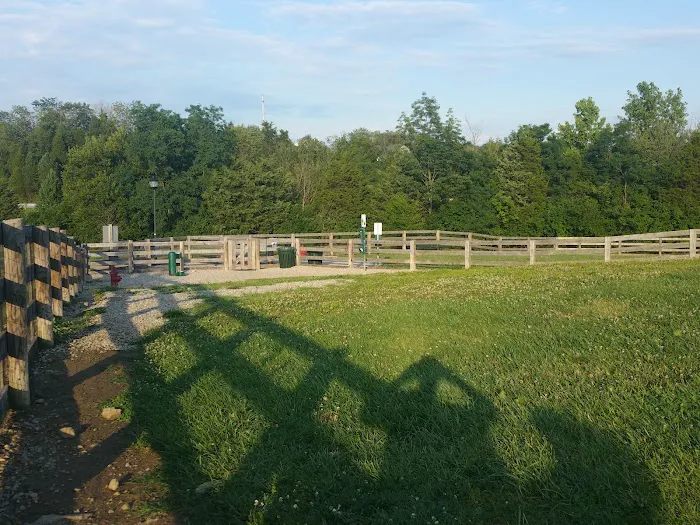Ida Juris Bennett Dog Park 3