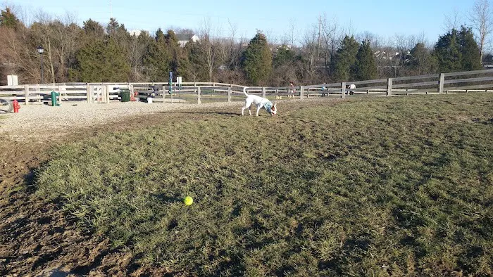 Ida Juris Bennett Dog Park 9