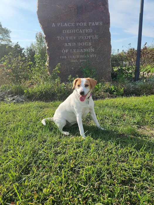 Ida Juris Bennett Dog Park 5