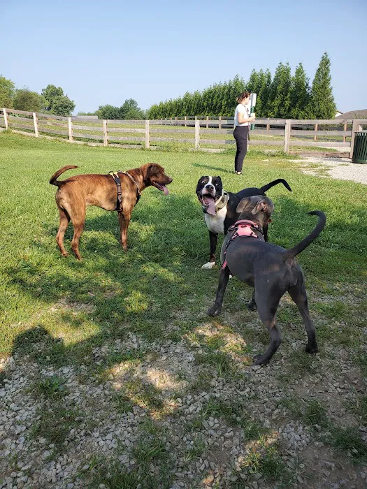 Ida Juris Bennett Dog Park 8