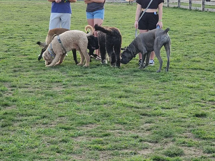 Metro Parks 3