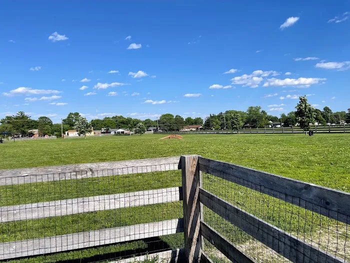 Wiggly Field Dog Park 4