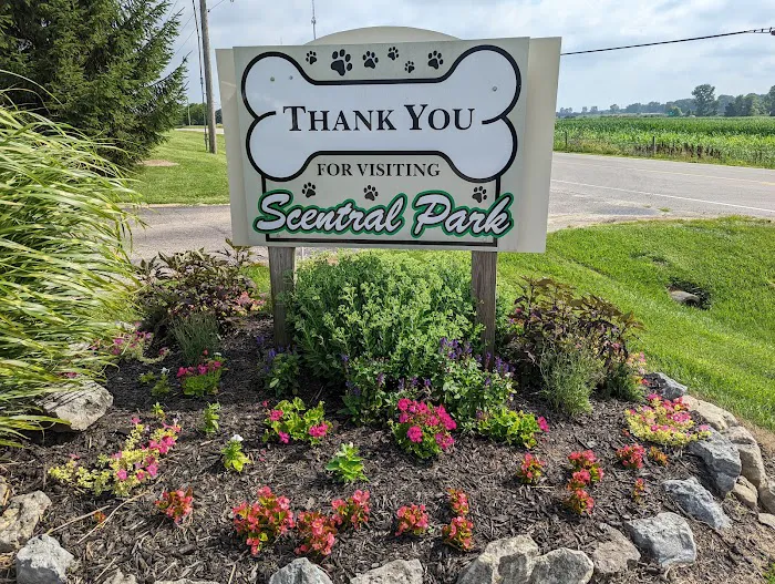Scentral Dog Park 1