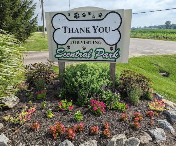 Scentral Dog Park