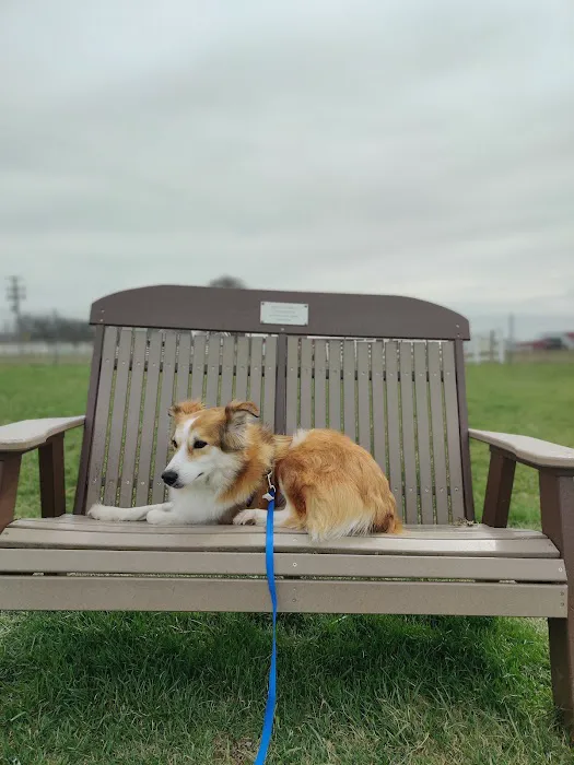 Scentral Dog Park 6