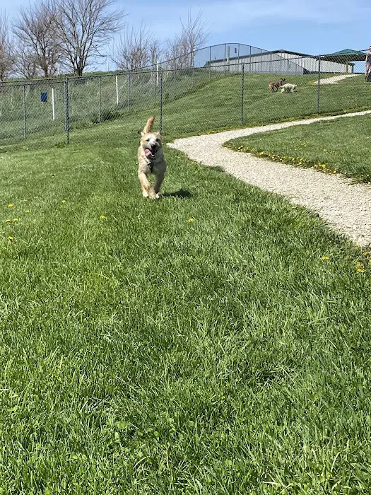 Scentral Dog Park 4