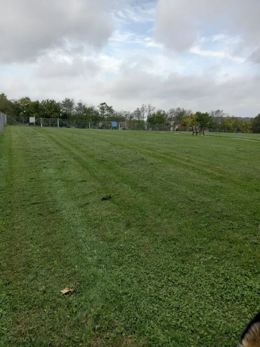 Scentral Dog Park 10