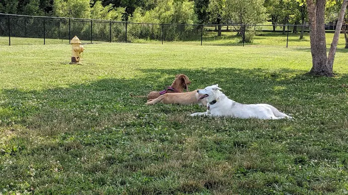 Holly's Dog Park 6