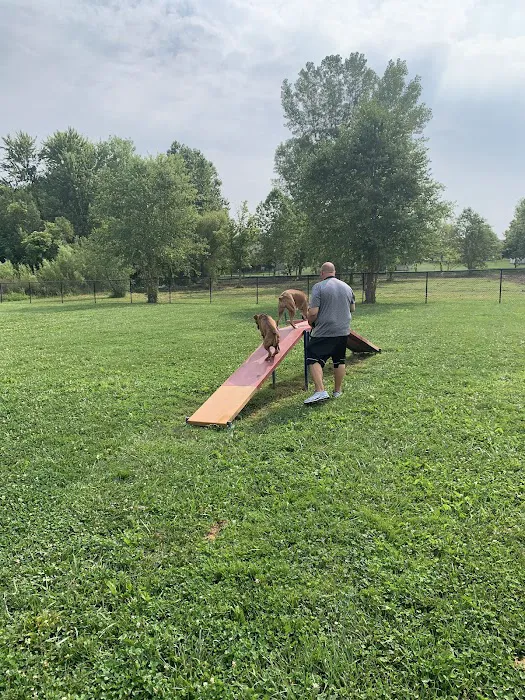 Holly's Dog Park 4