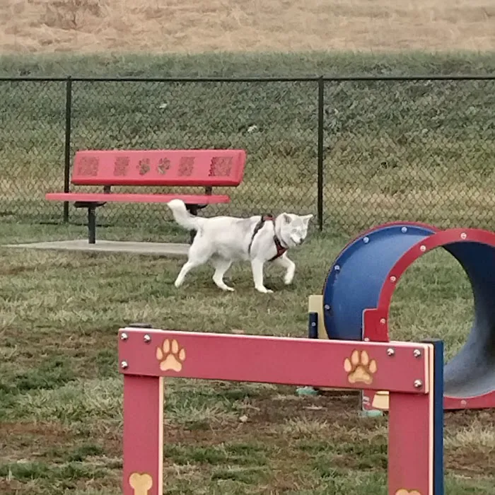 Holly's Dog Park 2