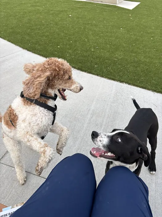 Gorman Dog Park 1