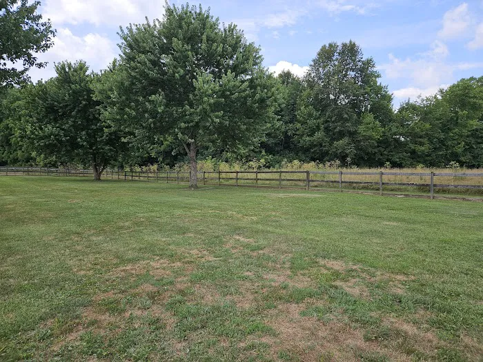 Bigfoot Dog Park 2