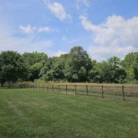 Bigfoot Dog Park ico