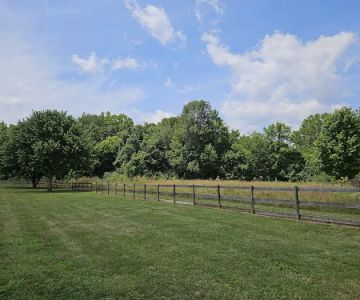Bigfoot Dog Park