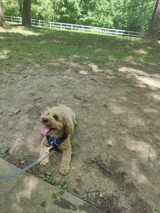 Bark Park 2