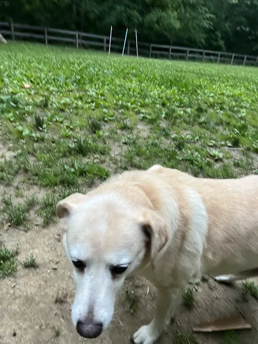 Bark Park 5