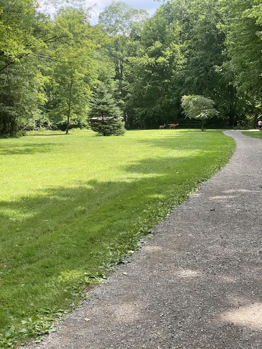 Bark Park 10