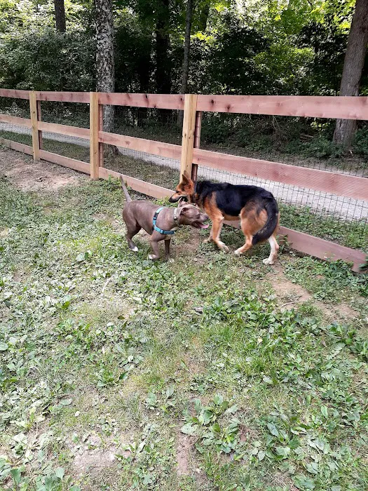 Bark Park 8
