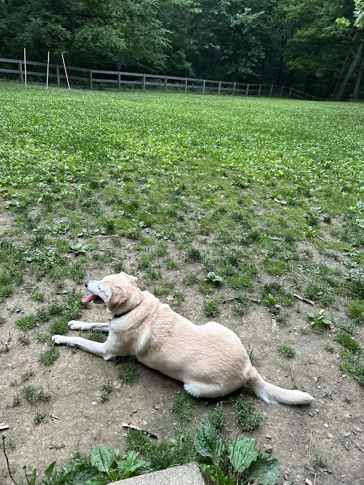 Bark Park 6