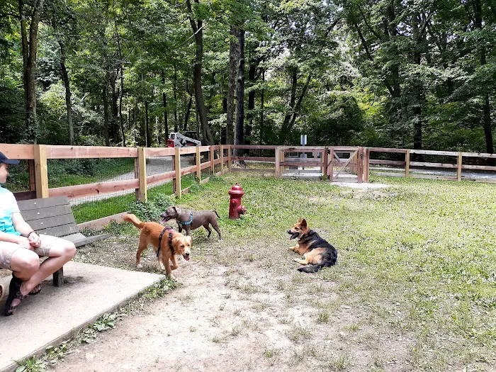 Bark Park 4