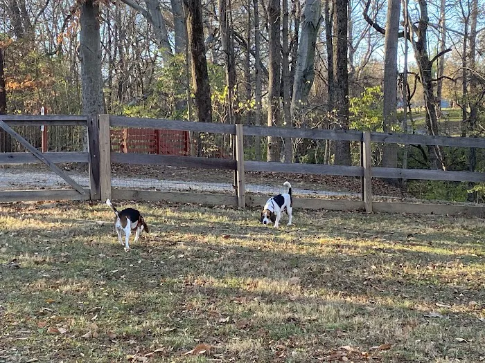 Bark Park 9