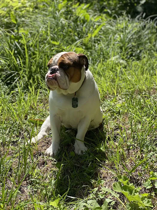 Bark Park 1