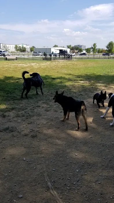 Summit Park Dog Park 3