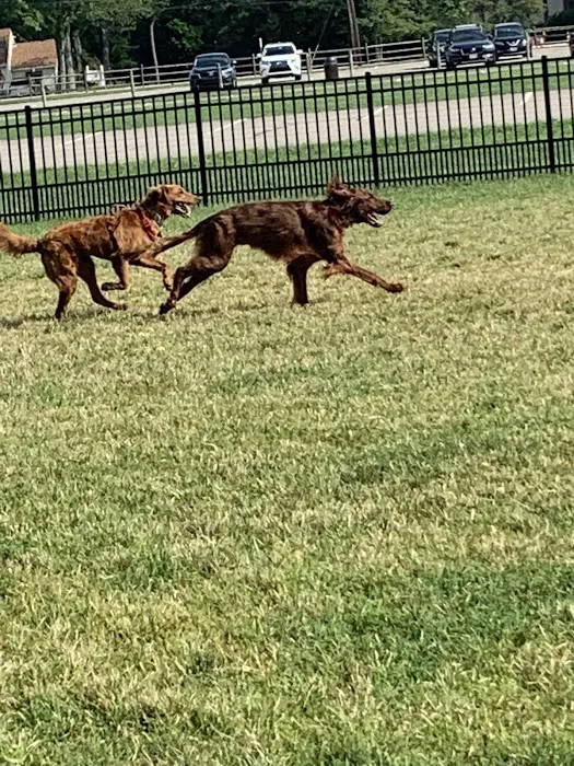 Summit Park Dog Park 1