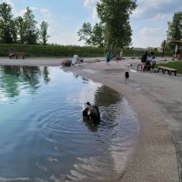 Furfield Dog Park ico