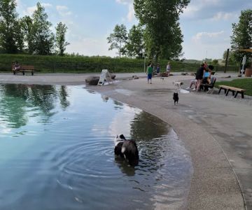 Furfield Dog Park