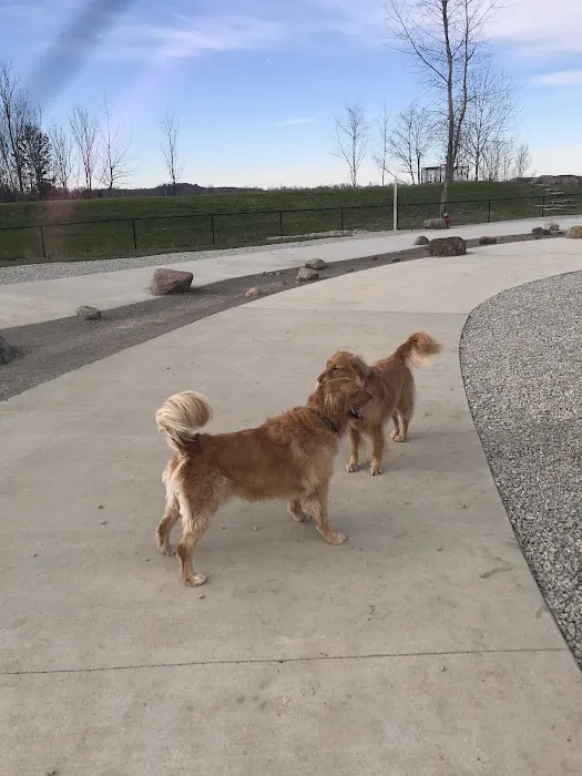 Furfield Dog Park 9