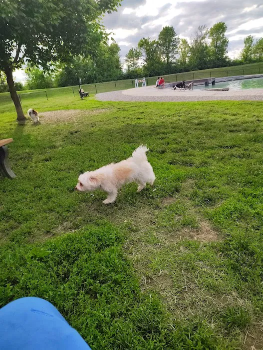 Furfield Dog Park 6
