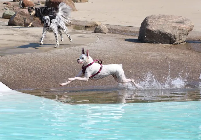 Furfield Dog Park 4