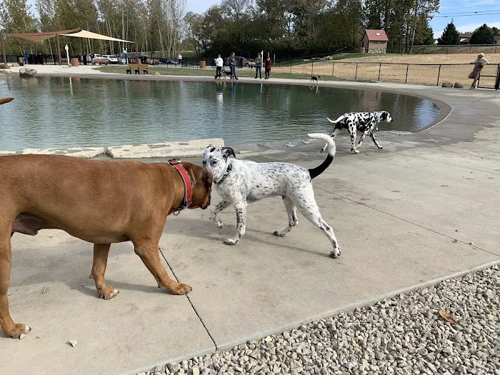 Furfield Dog Park 2