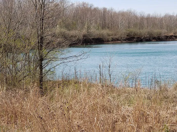 Furfield Dog Park 8