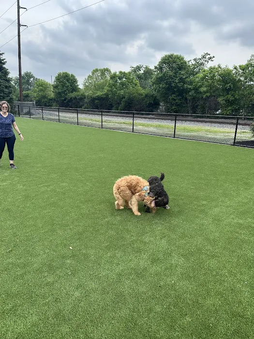 Brave Like Brayden Dog Park 7
